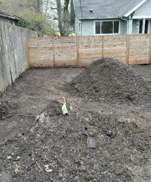 New Lawn Installation in Seattle 